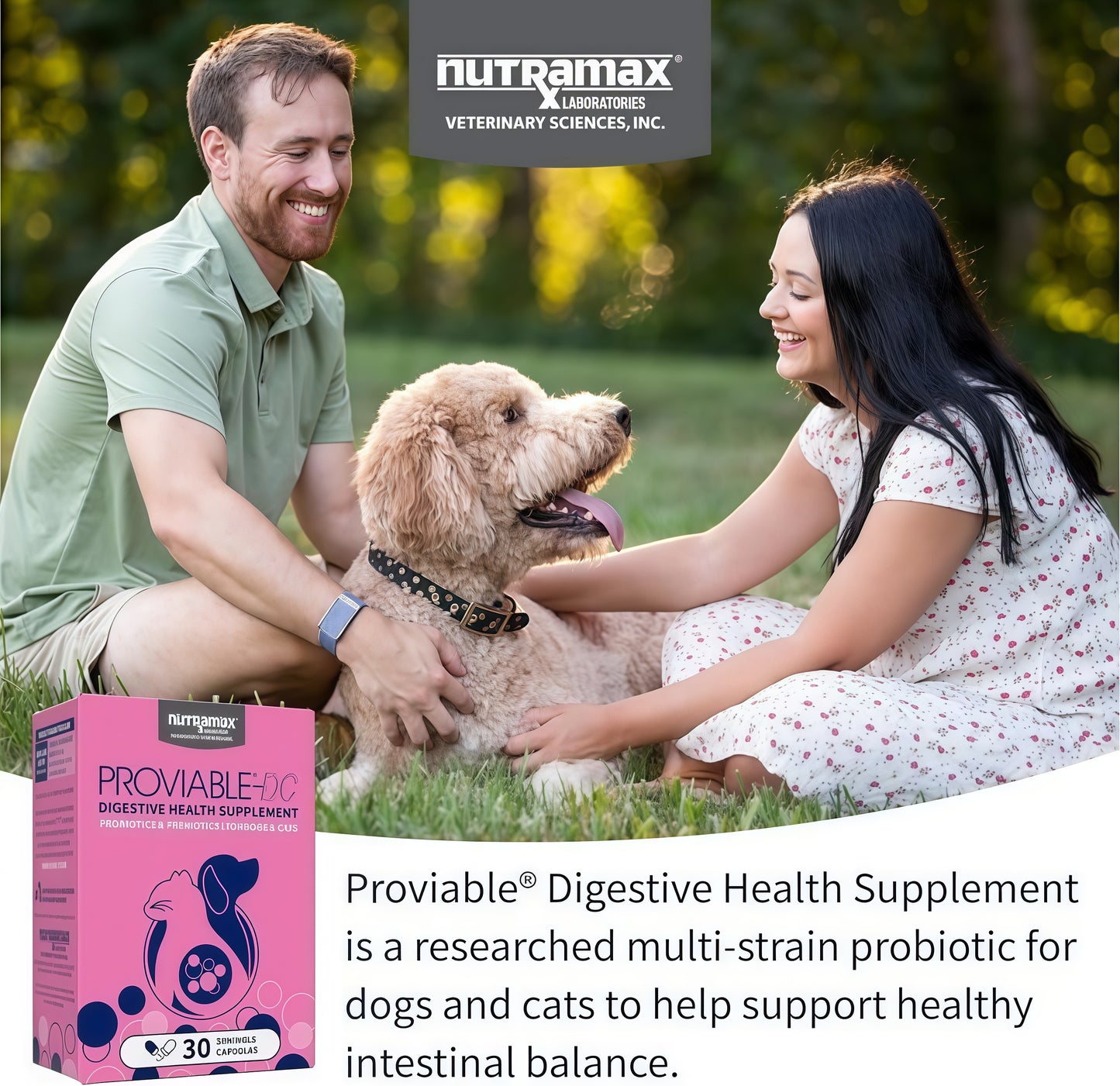 ProviableⓇ-DC Capsules