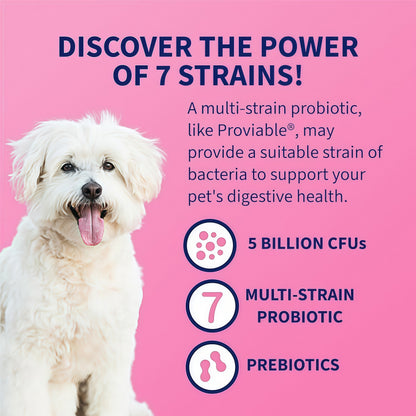 ProviableⓇ-DC Capsules